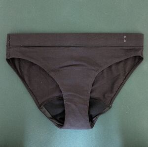 Thinx Everyday Comfort Bikini
